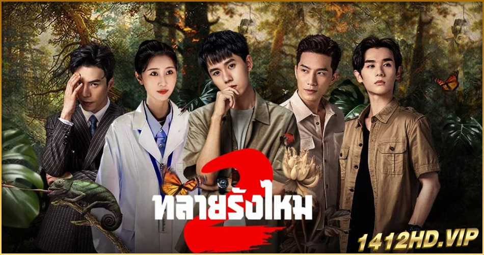 ดูซีรี่ย์ Insect Detective 2 (2024) ทลายรังไหม ซีซั่น 2 EP.1-26 (จบ) พากย์ไทย-ซับไทย